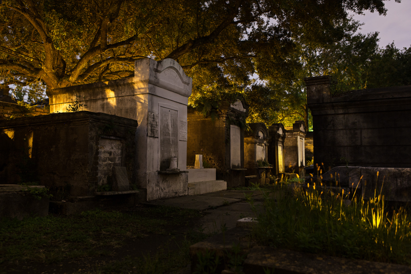 Illustration for article titled Beautiful photos of haunted New Orleans
